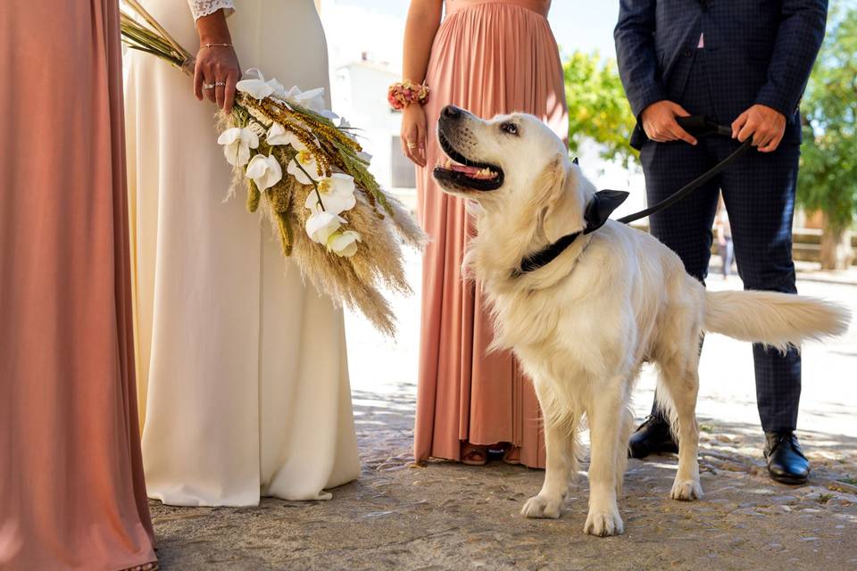 Boda en Morella