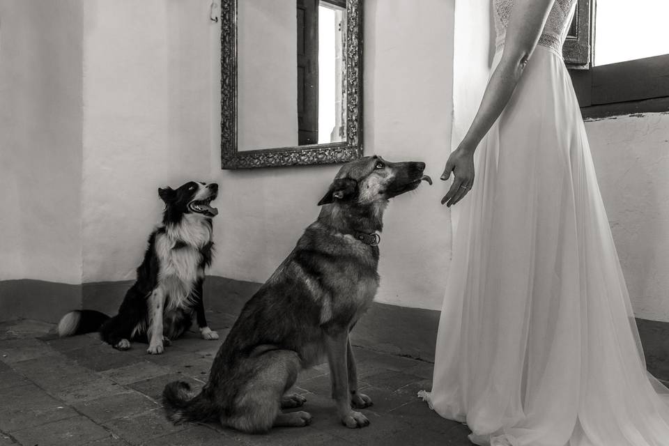 Boda en Mas Cerdà