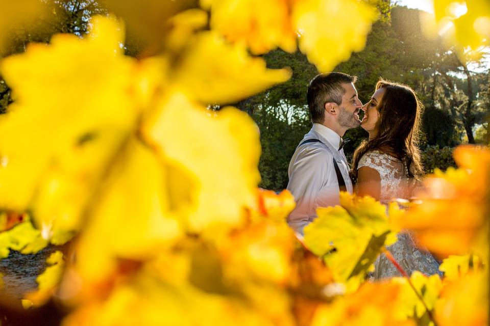 Postboda Parque El Capricho