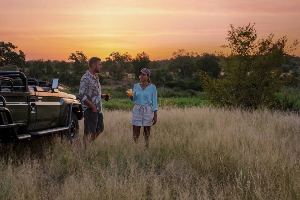 Safaris