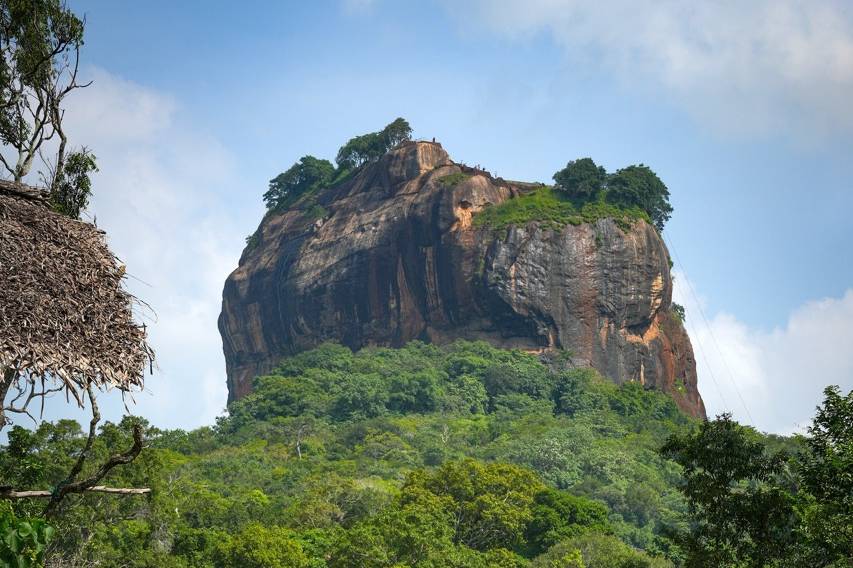 Fauna en Sri Lanka