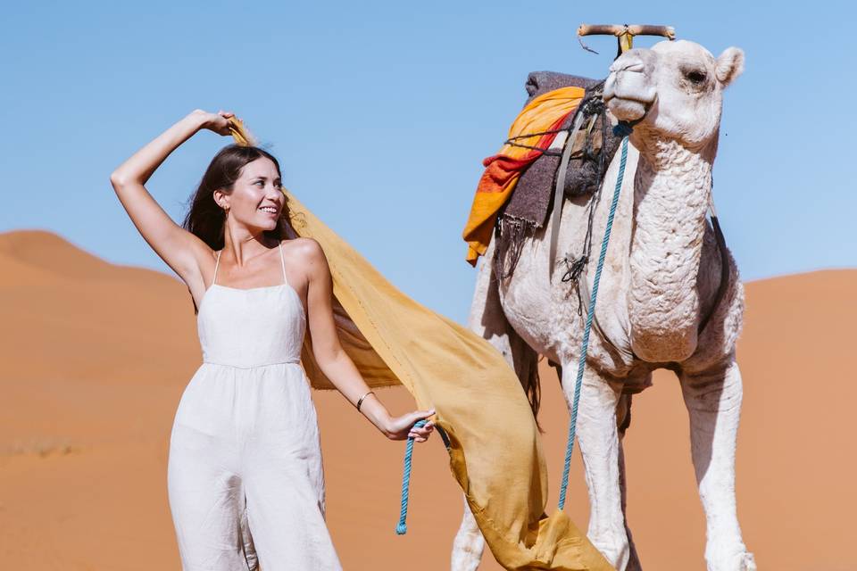 Dromedarios en el Sahara