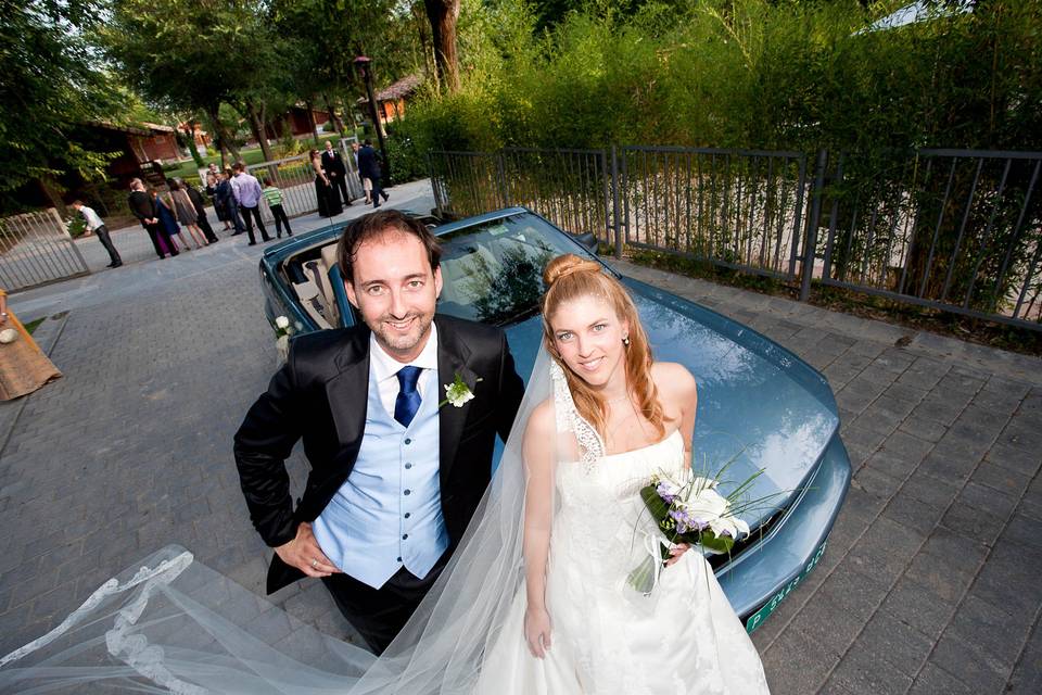 Novios