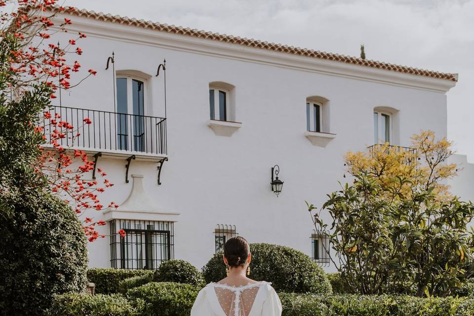 Sedka Novias