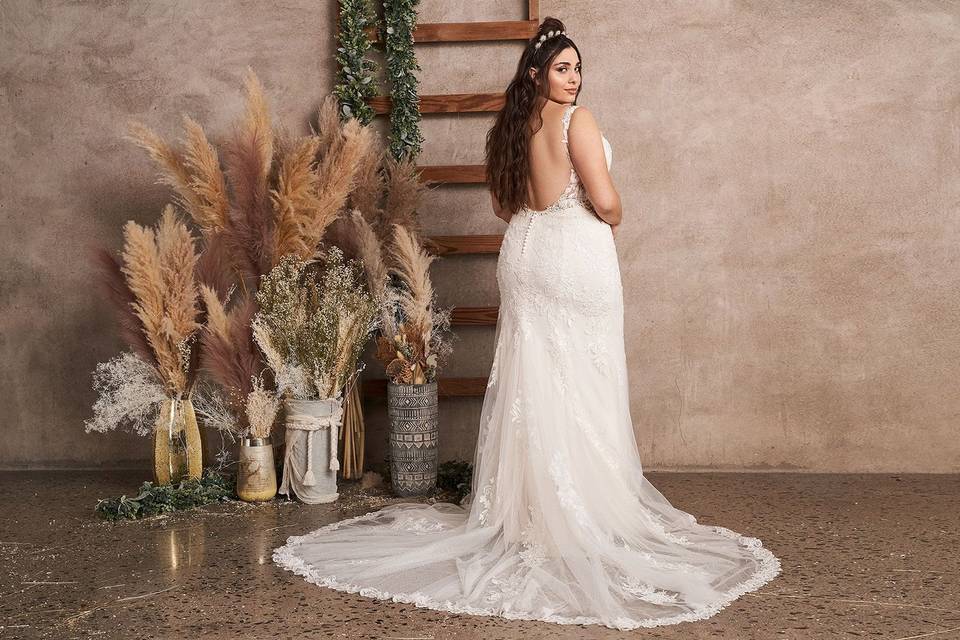 Sedka Novias