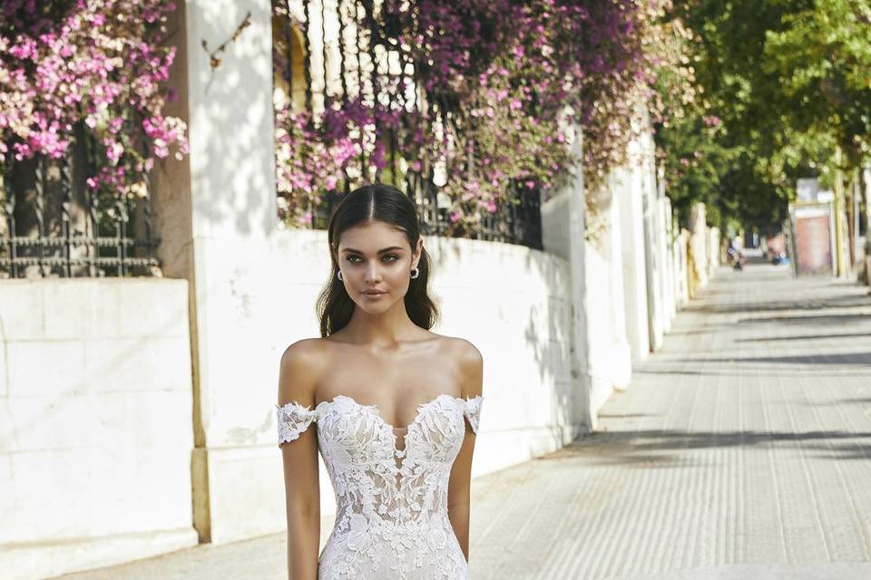 Sedka Novias