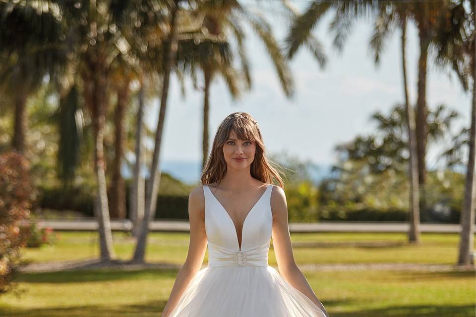 Sedka Novias