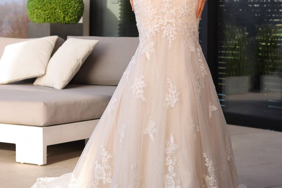 Sedka Novias