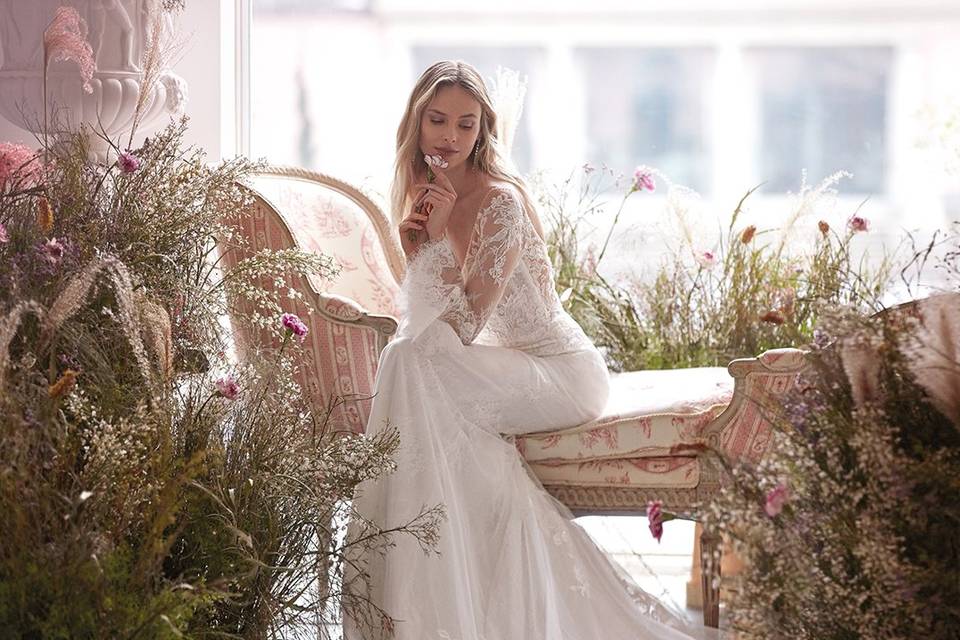 Sedka Novias