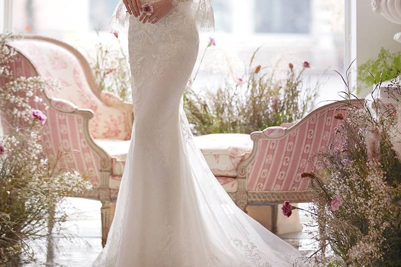 Sedka Novias