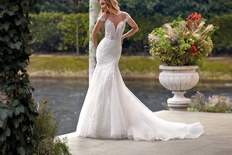 Sedka Novias