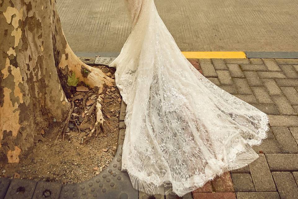 Sedka Novias