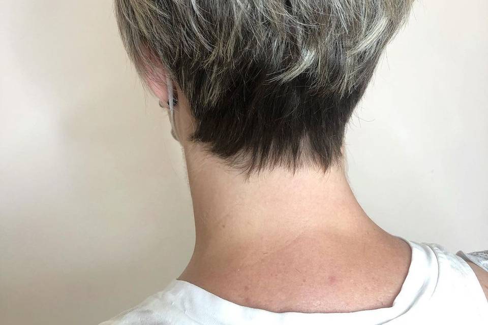 Pelo corto