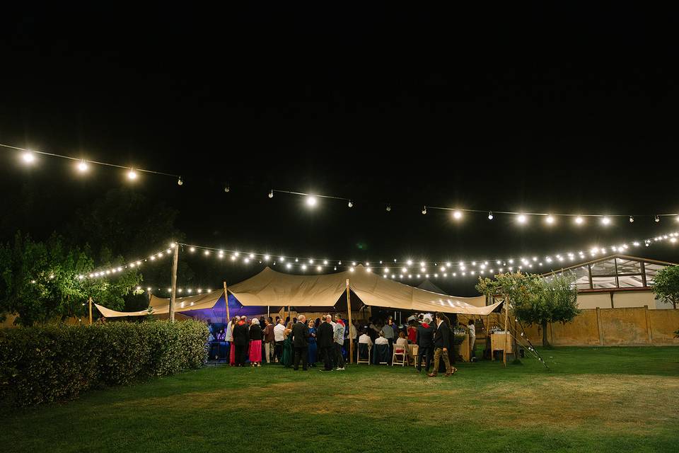 Astrid Marco Wedding