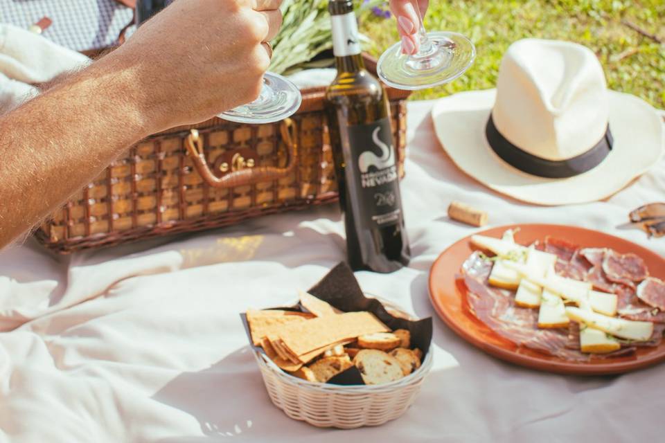 Picnic