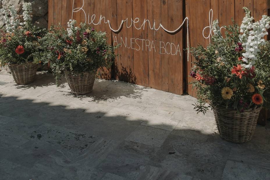 Bienvenida a invitados