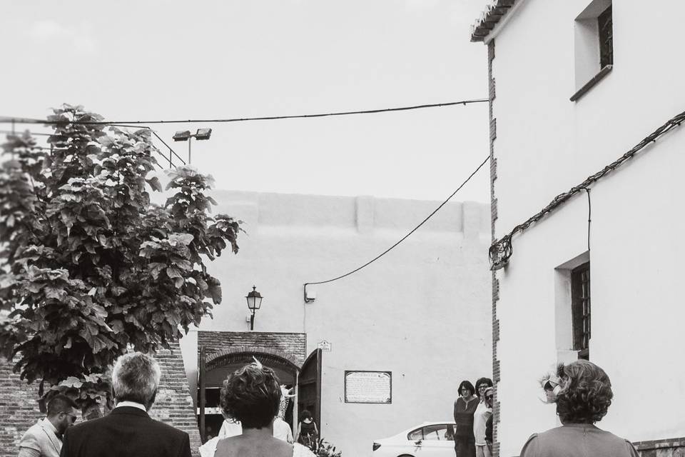 Rémora Studio