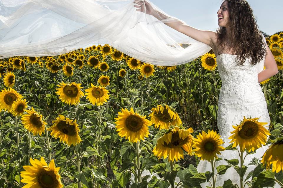 Postboda