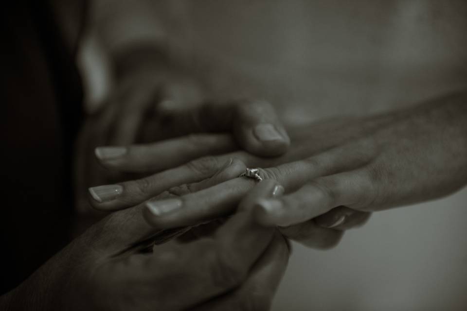 Preparativos