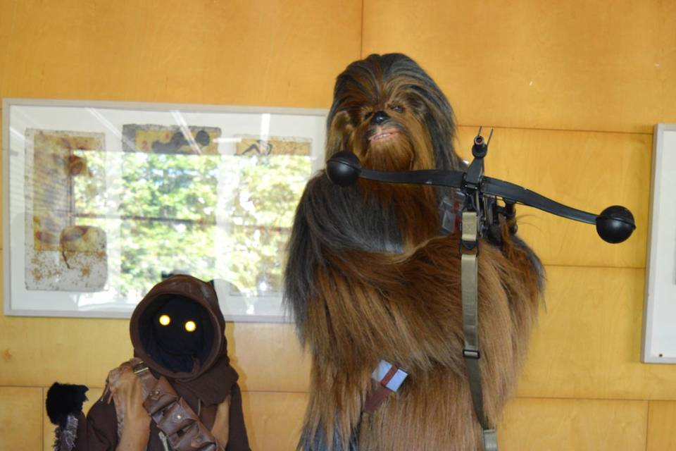 Jawa y Chewbacca