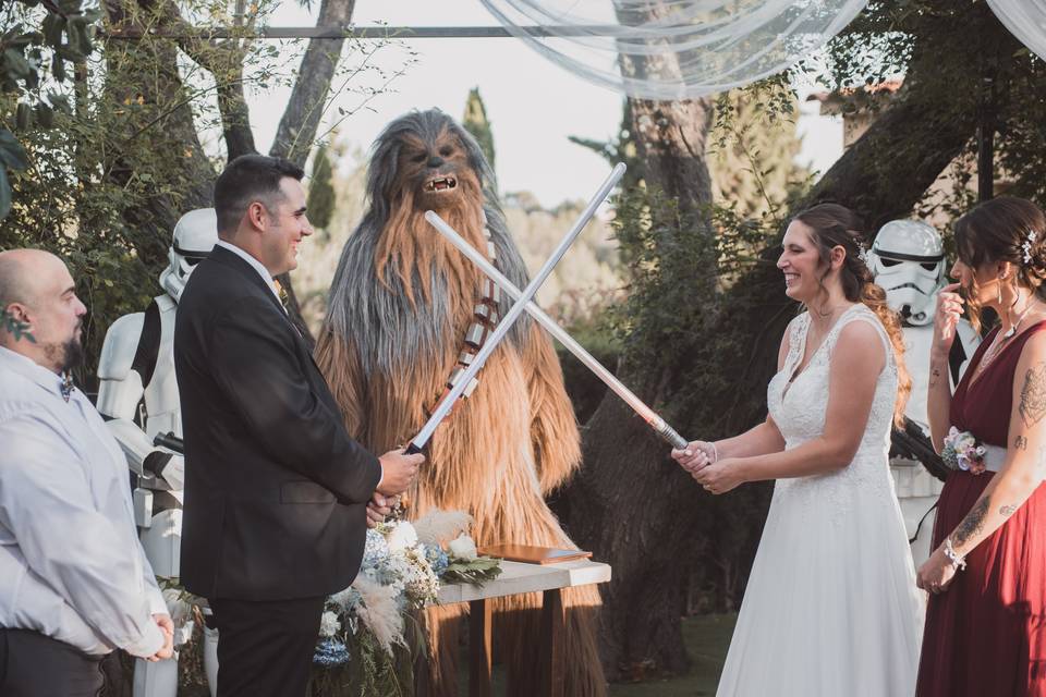 Bodas Star Wars