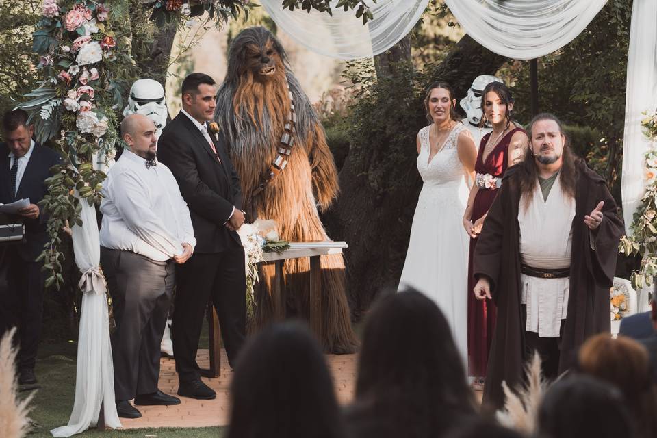 Bodas Star Wars