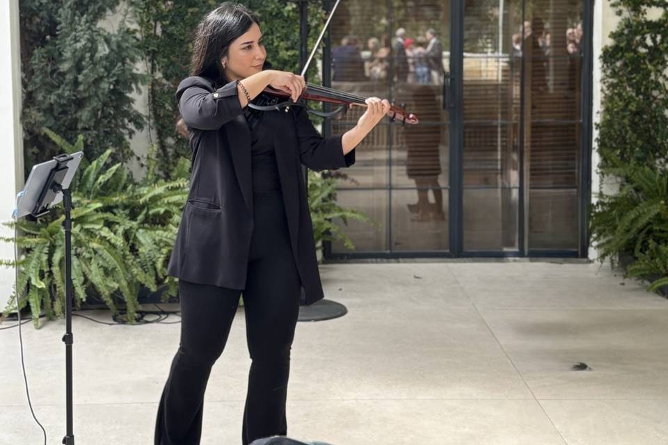 Cóctel violín electrico