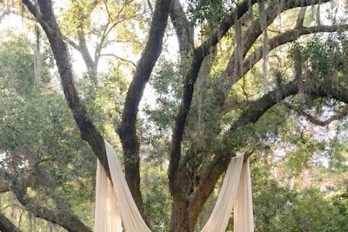 Altar bosque