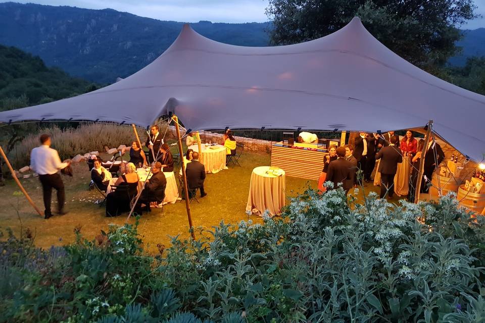 Carpa en el jardín