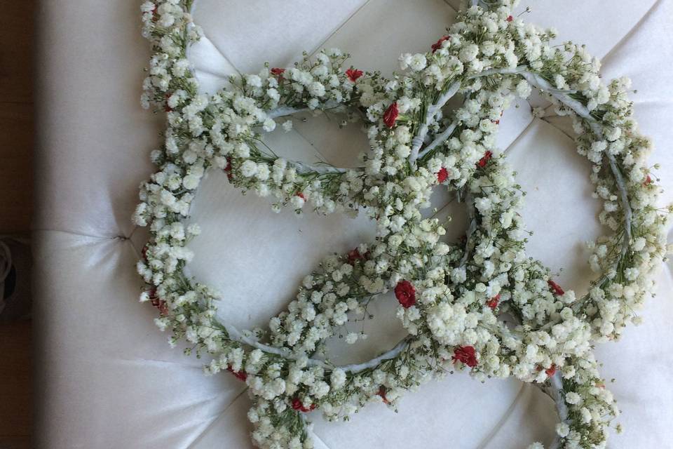 Coronitas de paniculata