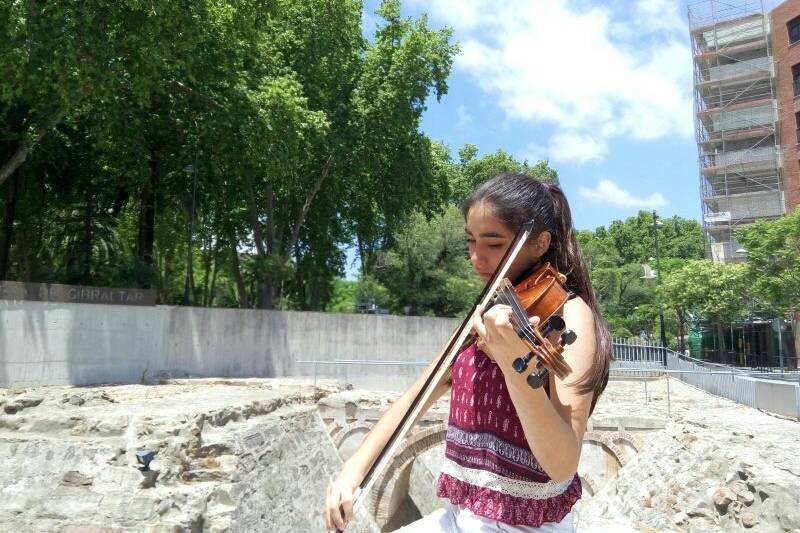 Violinista