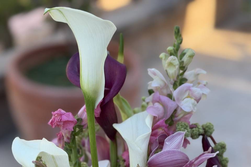 A&N The bouquet