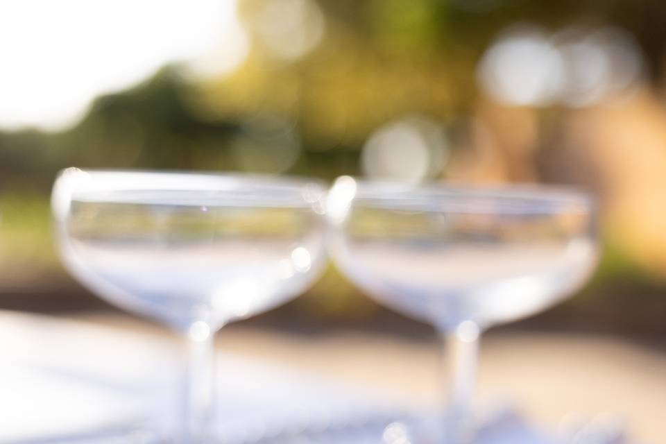 El brindis