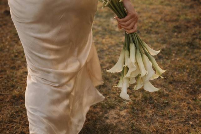 Boda