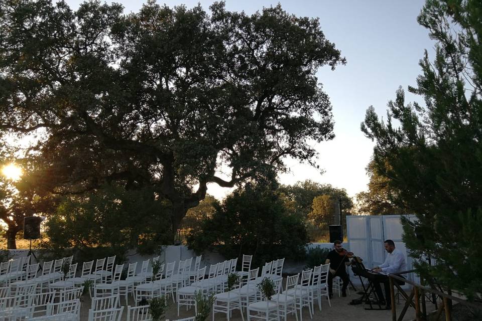 Jardines de Morante