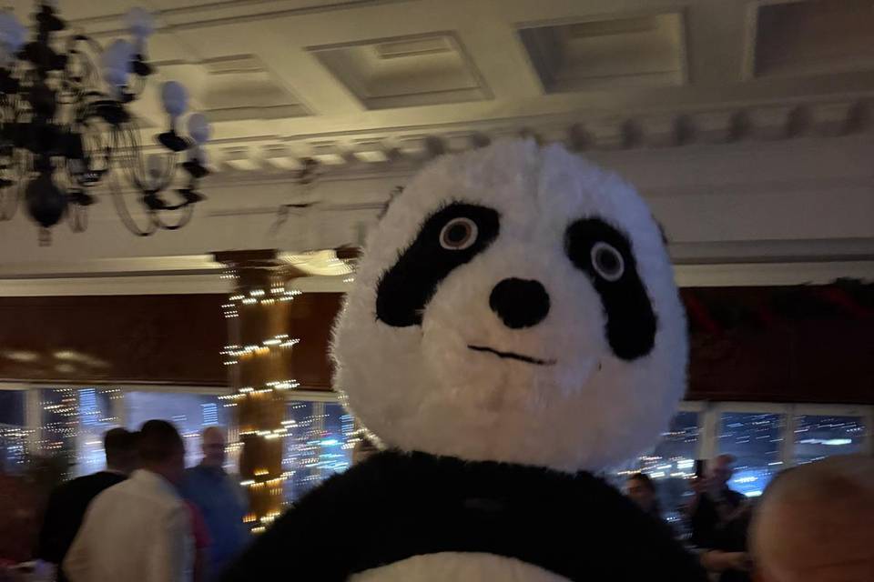 Oso amoroso