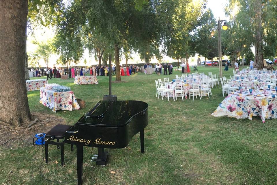 Piano para Eventos