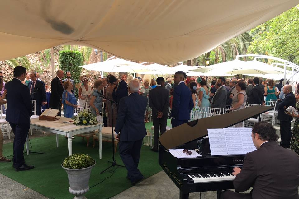 Piano para eventos Jardín Botánico