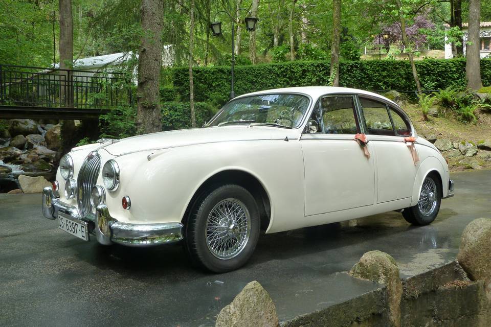 Jaguar mkii