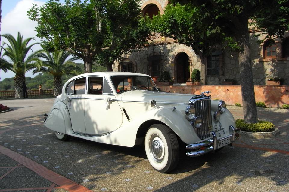 Jaguar mkv