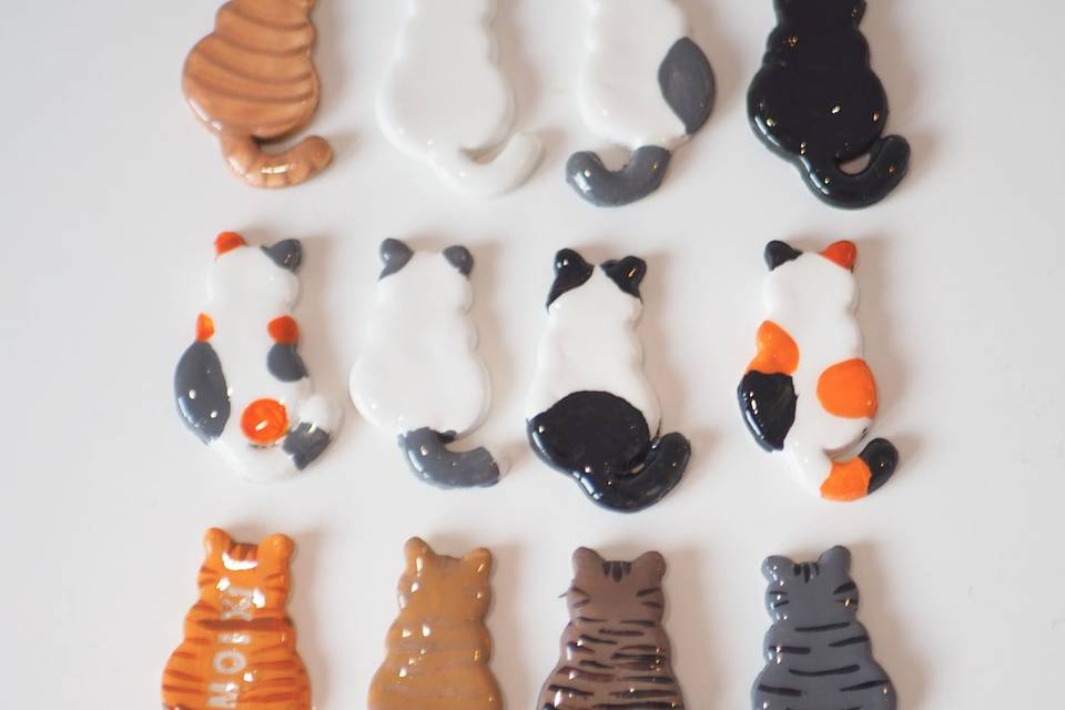 Gatos iman