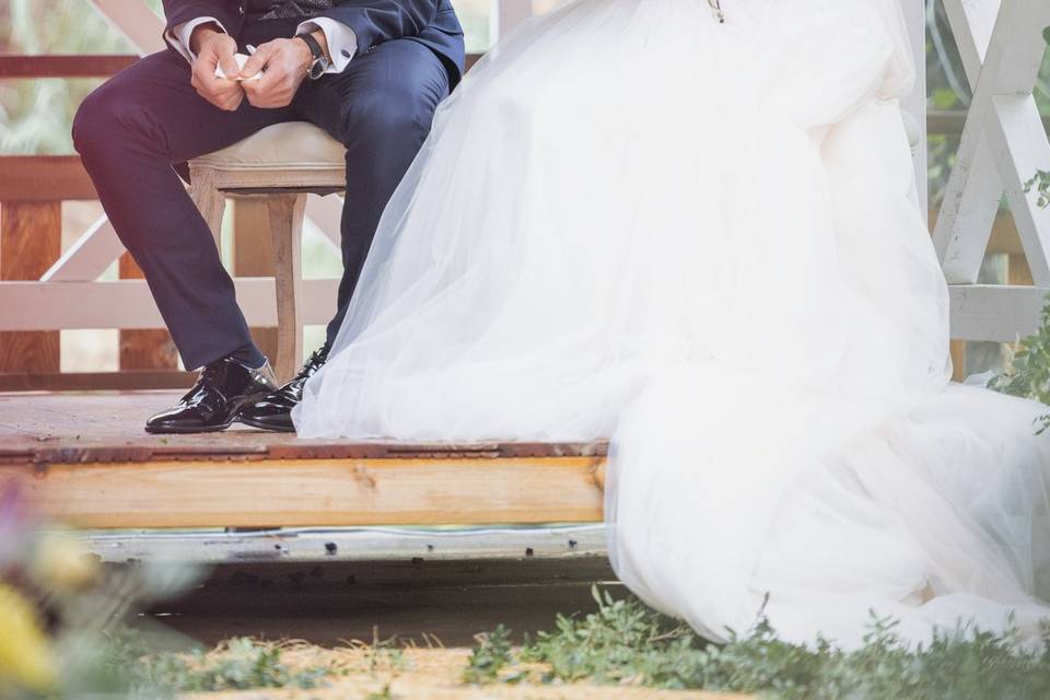 Novios