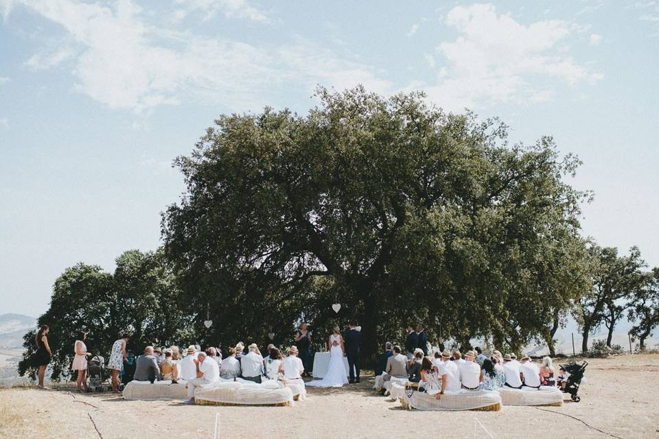 Ceremonia en la encina