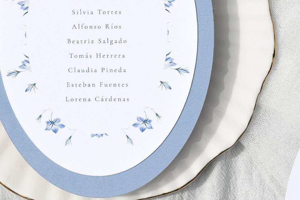 Minuta modelo índigo