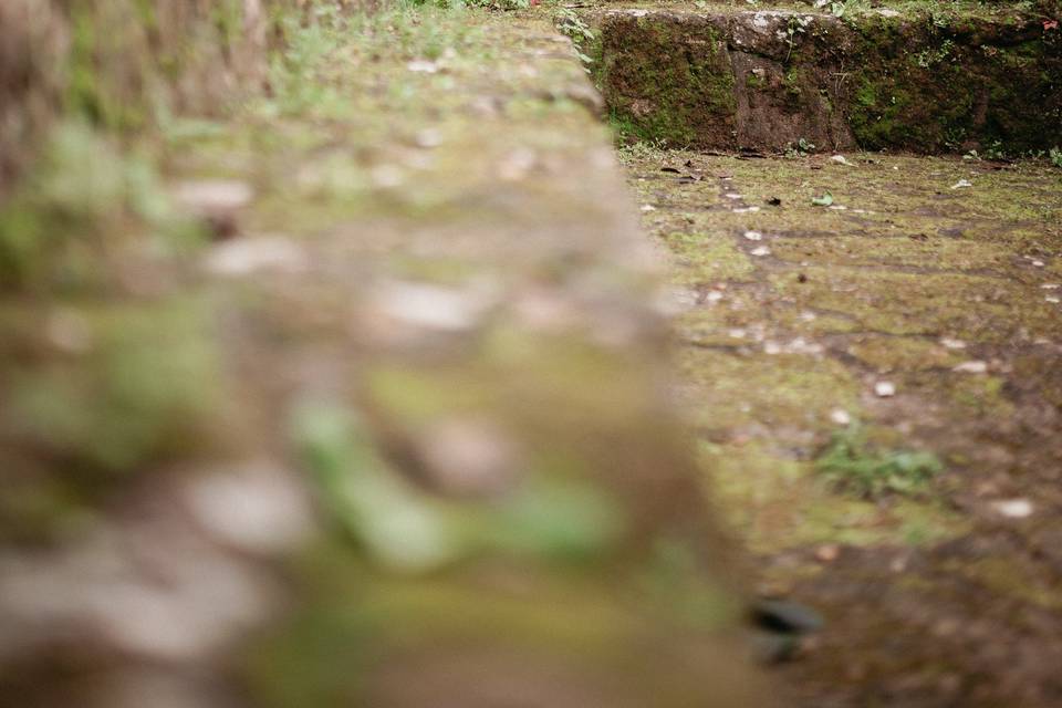 Bodas La Personalité