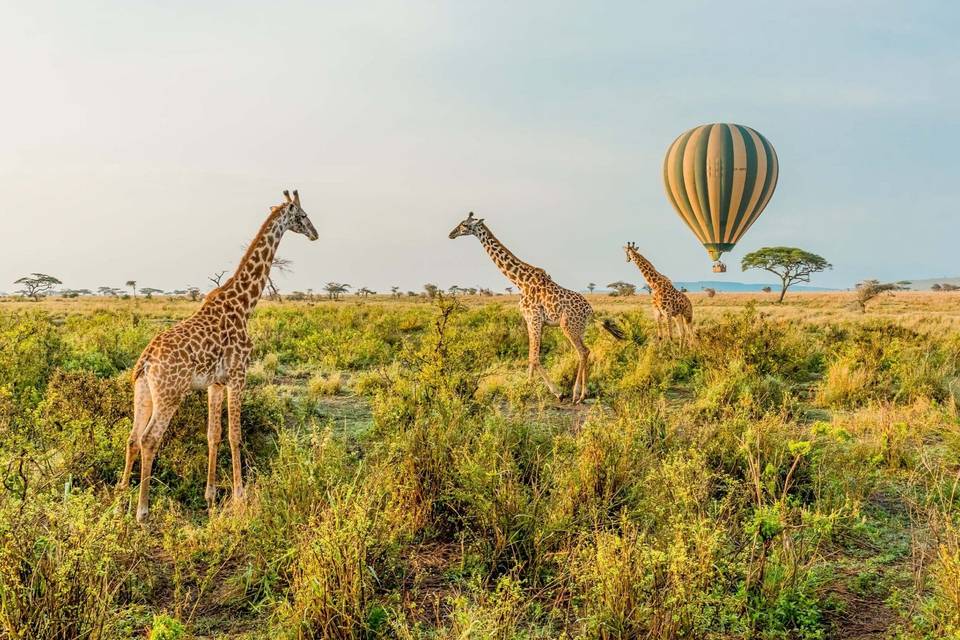 TANZANIA