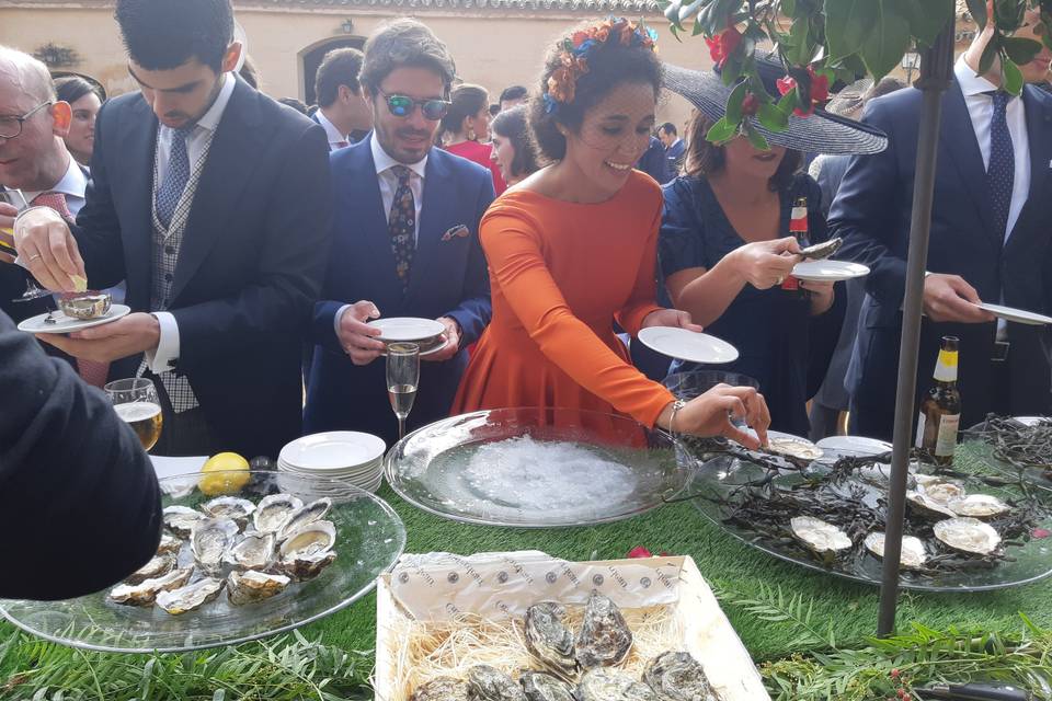 Catering de ostras