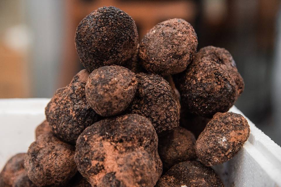 Trufas