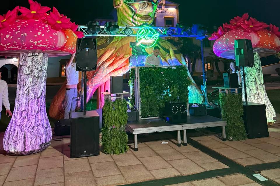 BARRA LIBRE DECO
