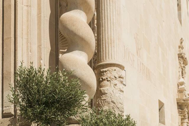 Bienvenida de olivos